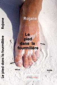 Le pied dans la fourmilière